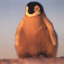 Aidan Shepherd - @Aidangumby - Twitter