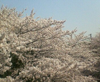 GRIPSSISP's profile picture. 