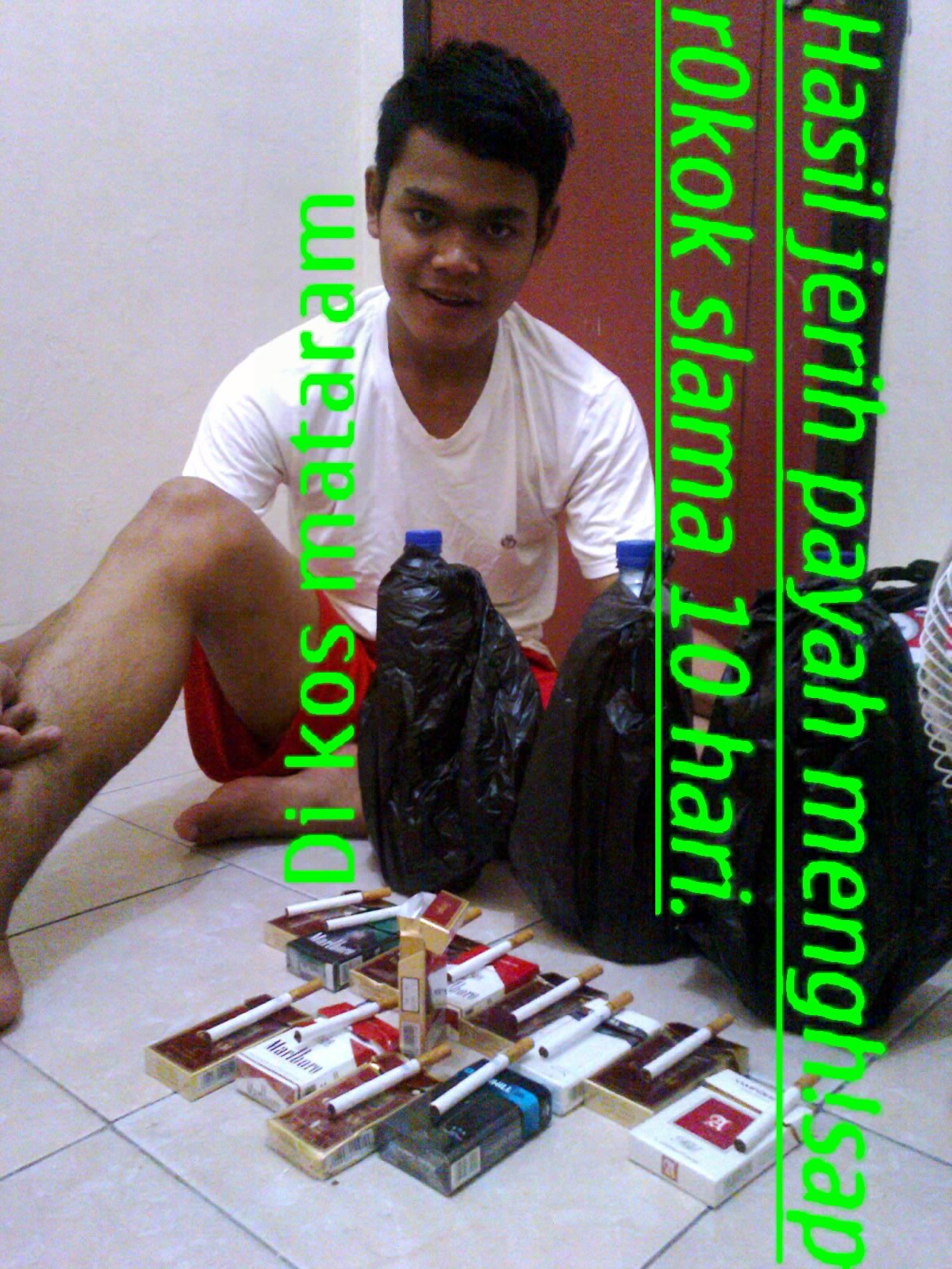 zaky_rawady's profile picture. 