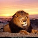 ercument oral - @TcOral1 - Twitter