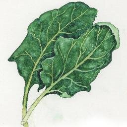 Bringing you information on #sustainable food, beer, and wine.