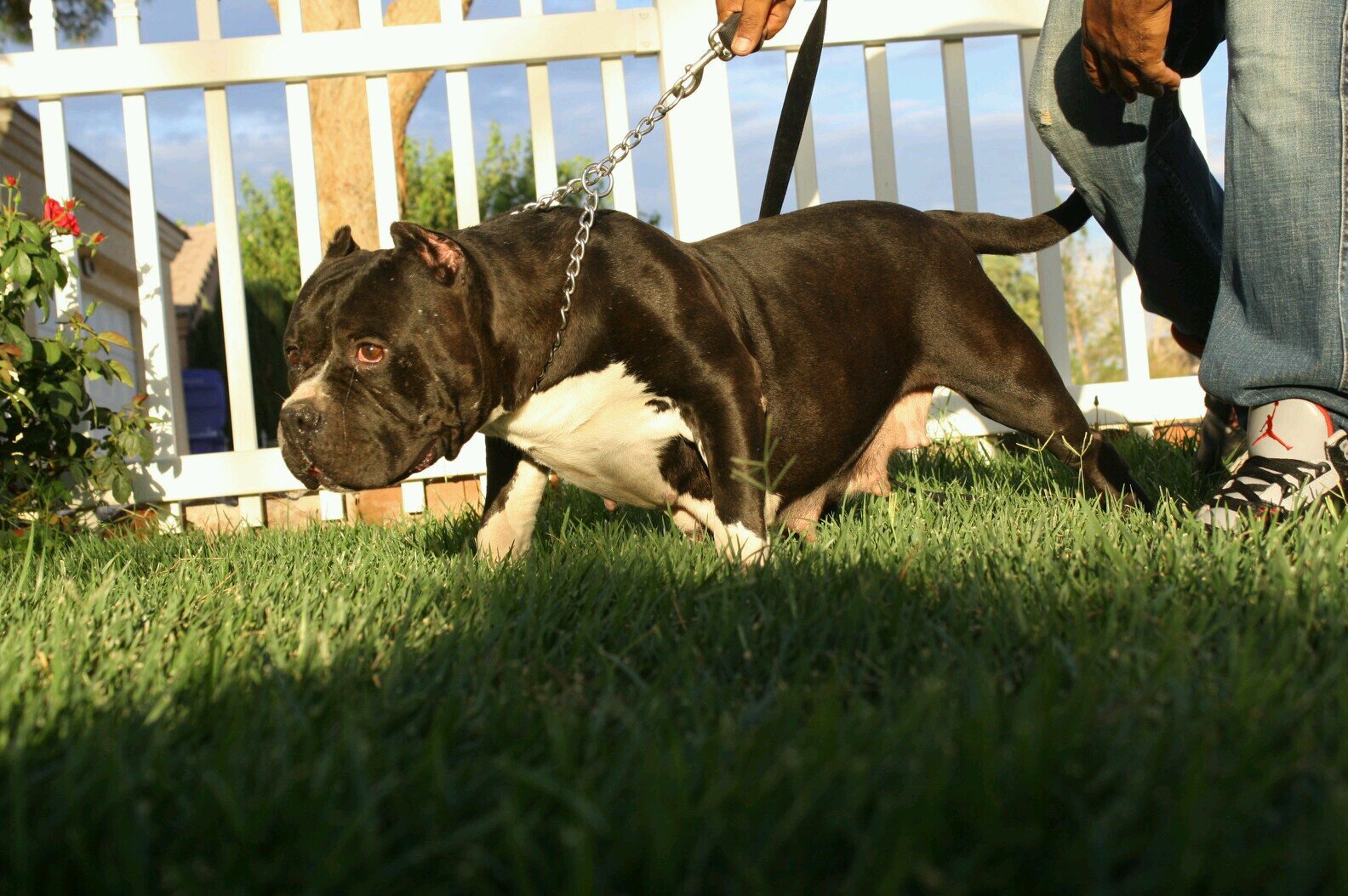 kong_blood's profile picture. 