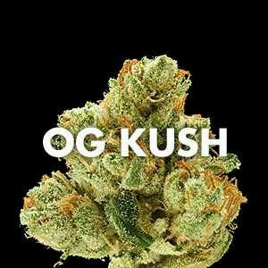 Weed is like oxygen you need it every day!!