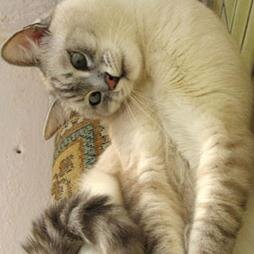 2014Insults's profile picture. Best Insults!!! Follow and I'll follow back!