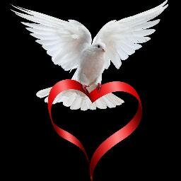 Smart Re-brander White Dove Online. #Free eBooks, Images and videos to make money online today. Merry Christmas and a happy new year to you all.