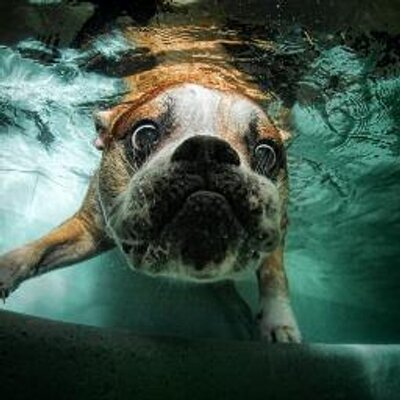 Luis Gerardo Munoz On Twitter Wet T Shirt Cancun Coco Bongo Hd