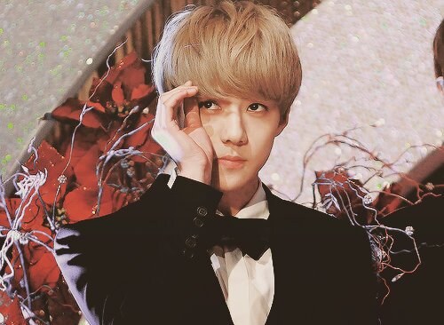 exo's maknae oh sehun!•in love with the ice♡•ImmaParody