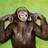 LauraAstur's profile image