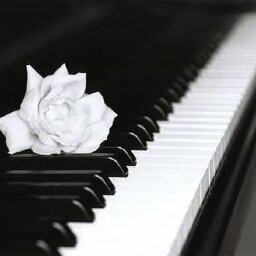 Hey guys! Make sure to message/ tweet on what songs/artists should review!