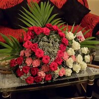 Halatalab ❤ (@halatalab44) 's Twitter Profile