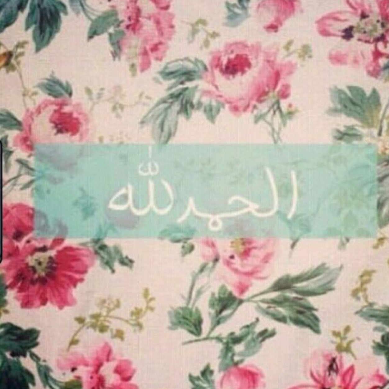 اللهم إغفر لي وأغفر لجميع المسلمين والمسلمات والإحياء منهم والإموات❤️