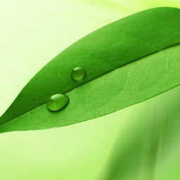 Different360's profile picture. Different 360 graphics tutorials