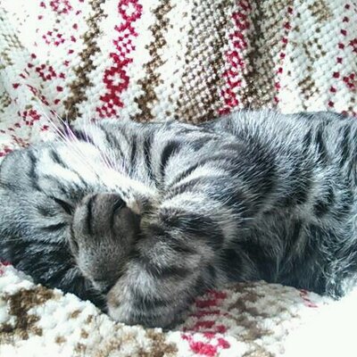 Fumi