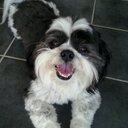 Michelle Seager - @seegs_seager - Twitter