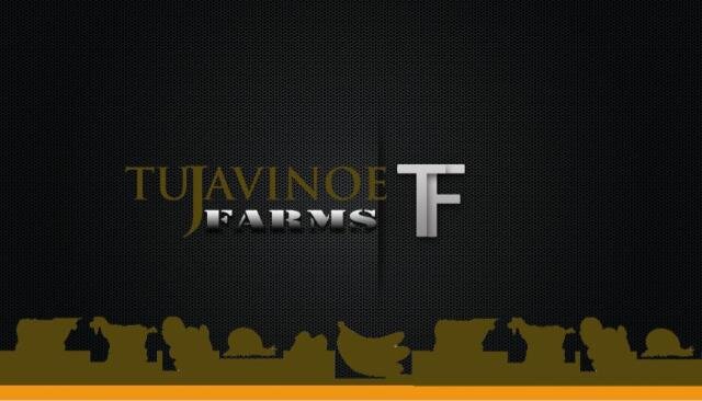 A Change Agent, An Entrepreneur, Jc, Motivational Trainer, Farmer (Tujavinoe Farms), An Active Citizen