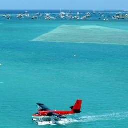 almancoast's profile picture. 