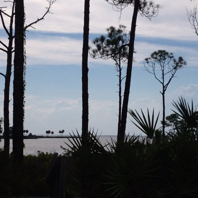 tracim52811's profile picture. 