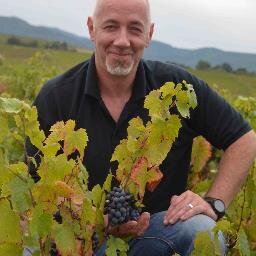 vinvivant's profile picture. Maison P-U-R & Château de Bel avenir