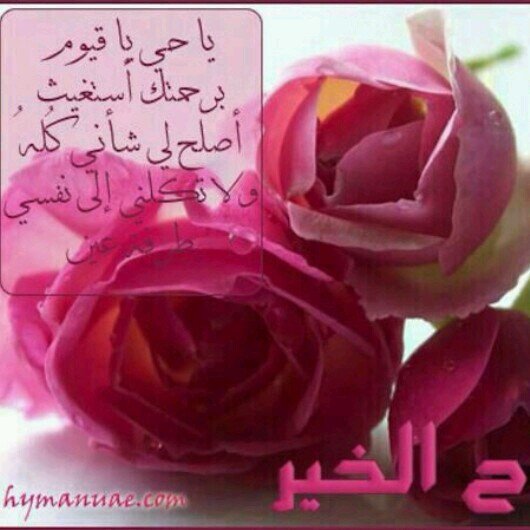 Onaizah2010's profile picture. 