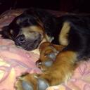 Jane Gee - @Cornishwizz - Twitter