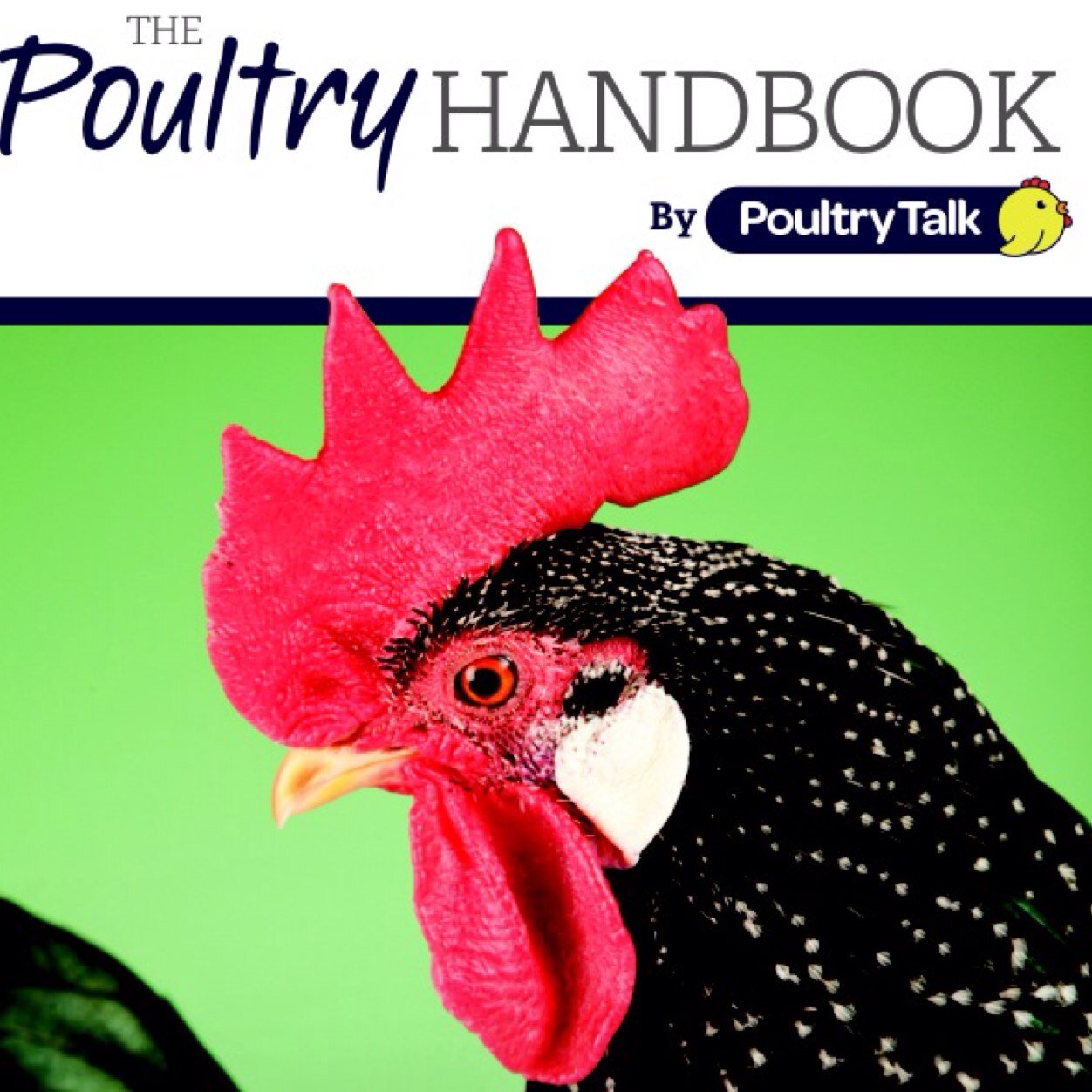 Revolutionary A5 publication by @PoultryTalk dedicated to UK Poultry Hobby. Companion for beginners & breeders. Will become annual soon. http://t.co/R94kmmdj4d