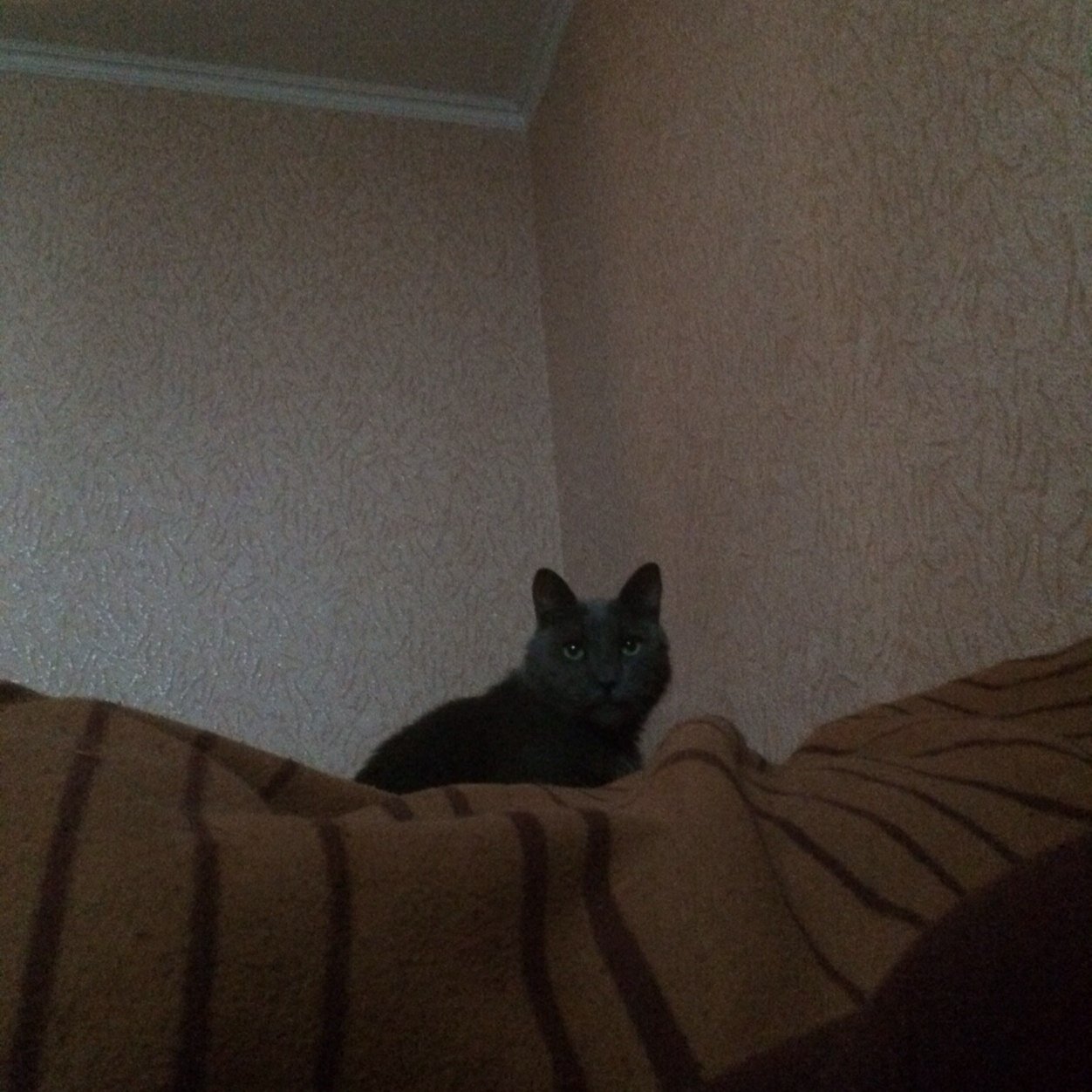 Vilsug's profile picture. 