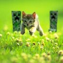 luna rocha - @lunaswag11 - Twitter