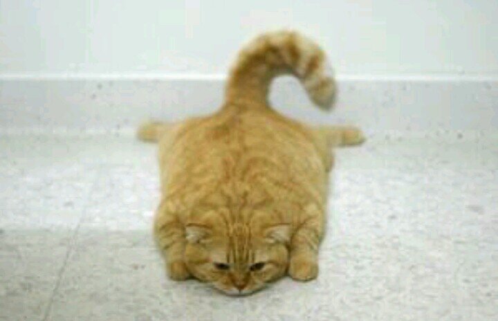 r_090122's profile picture. 豊中→野球部      米谷→陸部    K−POP大好きです！ ってか音楽好きです！歌手は大体知ってます！フォローよろしくお願いします