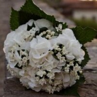 Flores tabatha (@flores_tabatha) 's Twitter Profile