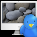 Shirley Fehr - @shirleysimac - Twitter