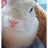 うさぎのアイコン