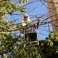 The Nounz (@nohaborhan) 's Twitter Profile