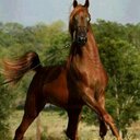HHHH201388 055944515 (@055944515) Twitter
