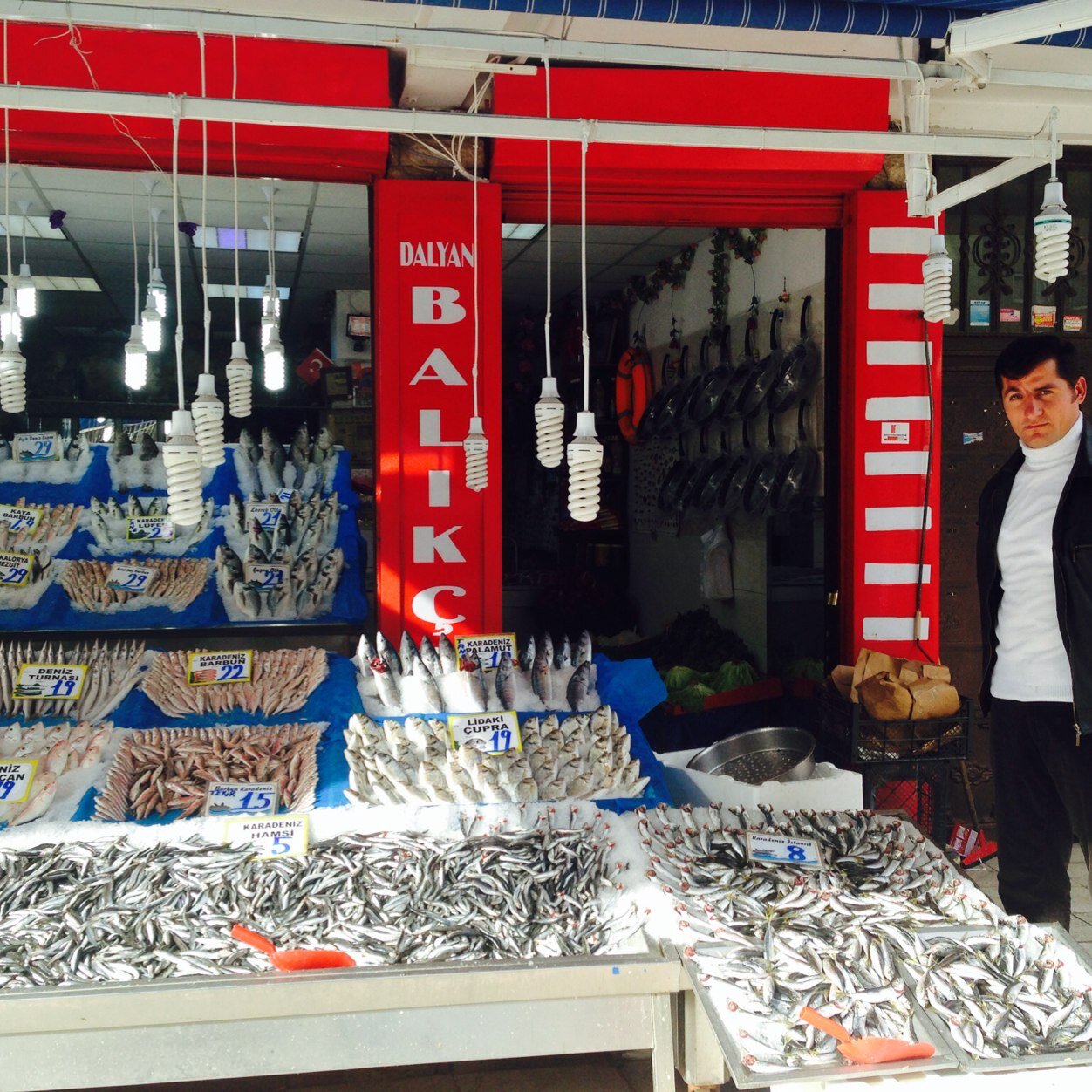 erol73178062's profile picture. 