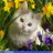 kr_eo's profile image