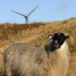 saving and savouring on a wicklow mountain blog