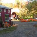 Tanya Knowles - @RavenHillFarm - Twitter