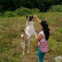 john alva gir - @alvaro01021983 - Twitter