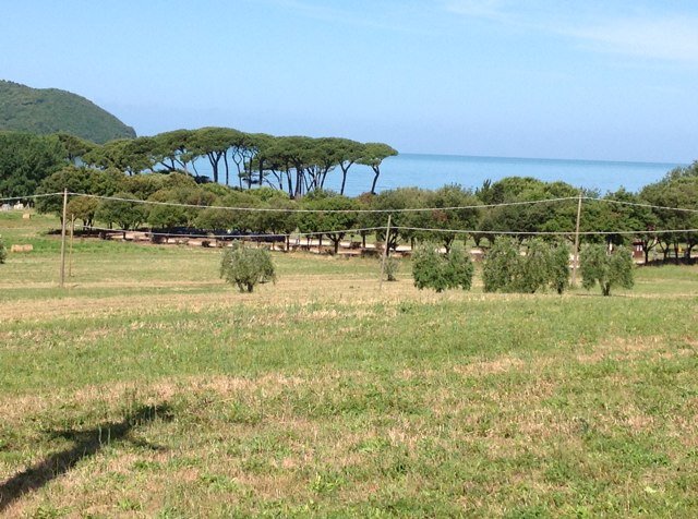 stefdietitian's profile picture. 