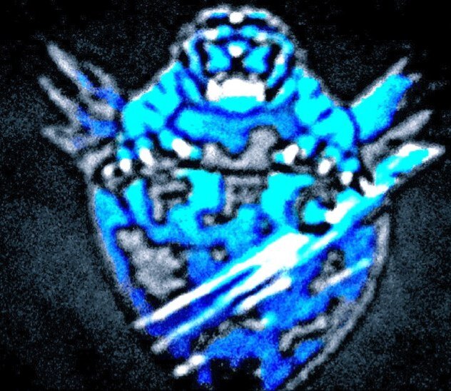 Frozen_official's profile picture. Our team's led by Andre and assisted by Agustinus, Siwaji, Ryan as vice team's leader, secretary and treasurer | God bless you !!!