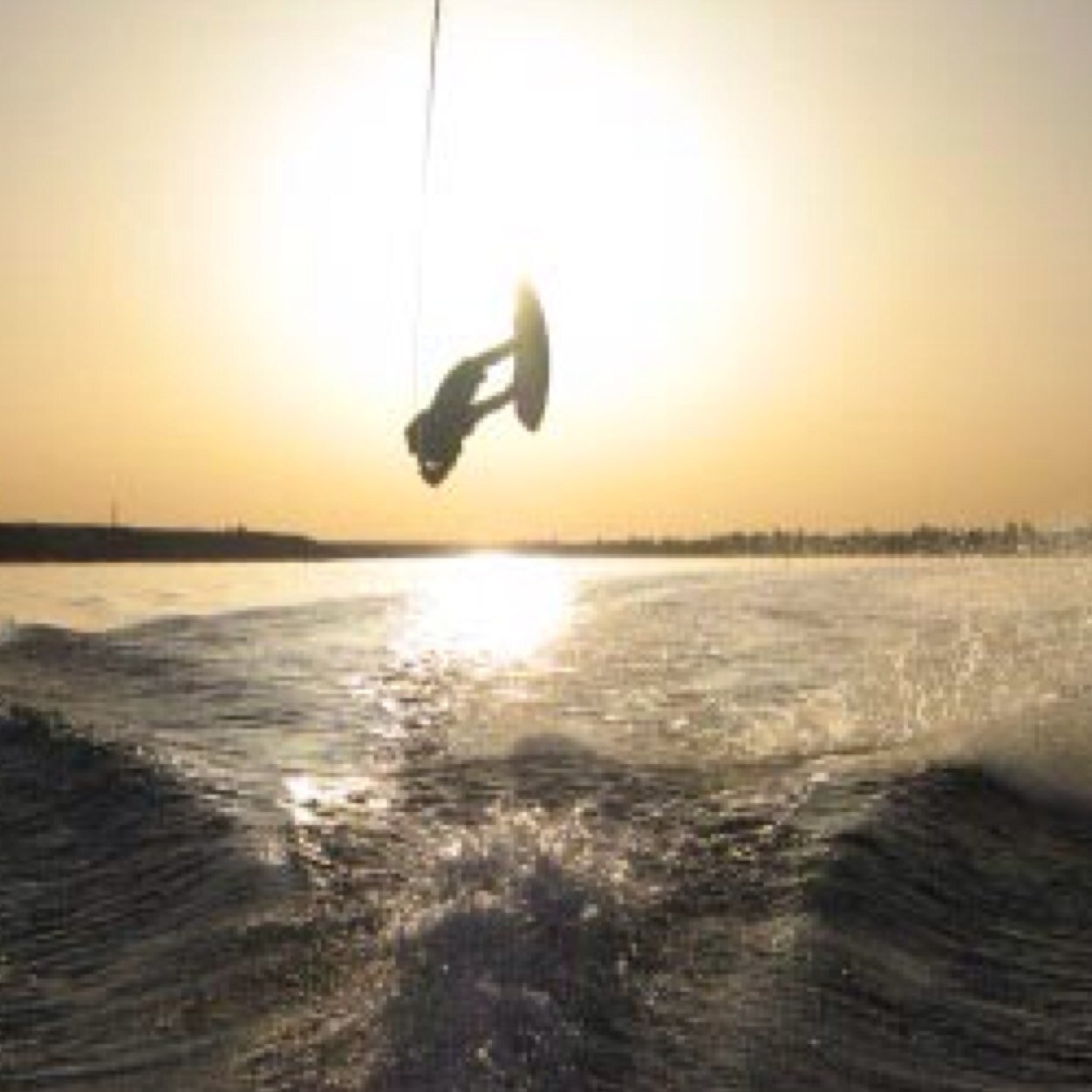 davecassidy2's profile picture. 