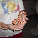 Audrey Chambers - @amv0405 - Twitter