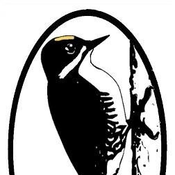 News from Society of Canadian Ornithologists/Société des Ornithologistes du Canada & its members/et ces membres. English & Français.
https://t.co/gOt3SCtZW6