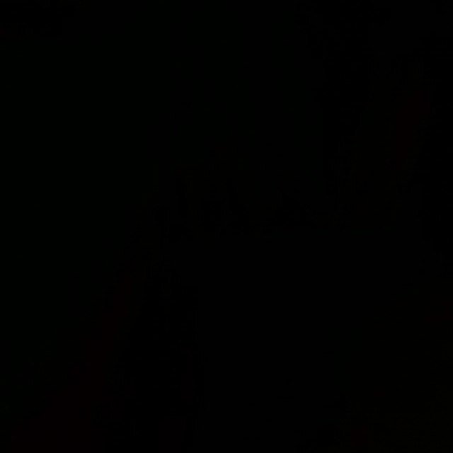 ImperfectJanz's profile picture. 