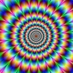 luisgcia76's profile picture. 