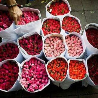 ألا بذكر الله تطمئن القلوب ♥