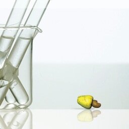 Cardolite Coporation