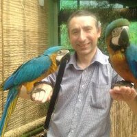 Richard Garcia (@richgarz) 's Twitter Profile
