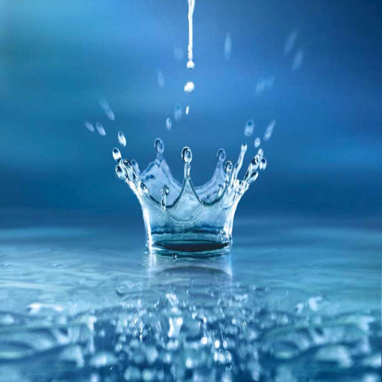 Downriver Michigan Plumbing http:// http://t.co/TNp6oKyYex
http://t.co/gdTV3wkDFK
