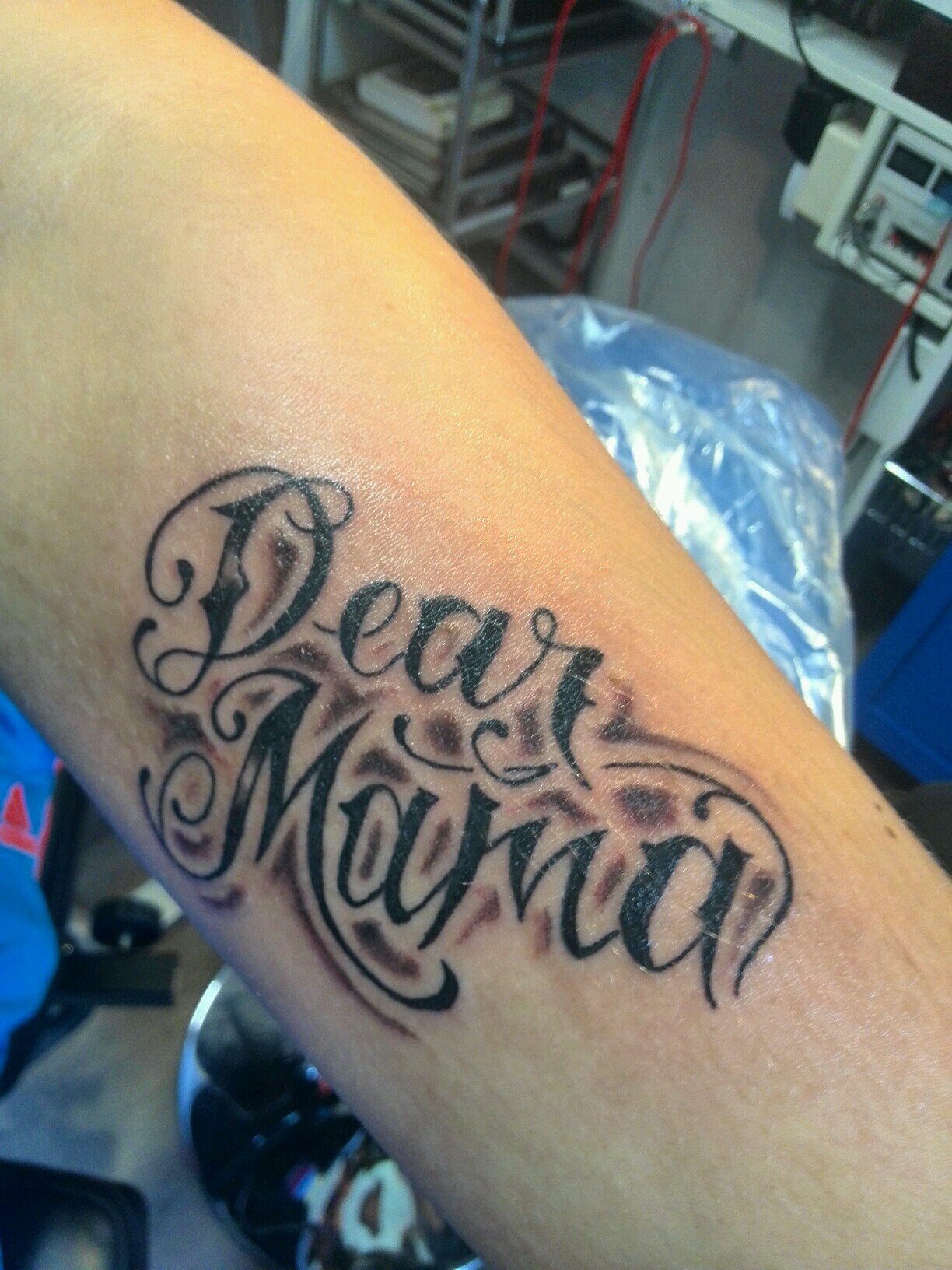 BryanBruinsx's profile picture. #TeamVieze, #VliegMeeOfVliegWeg